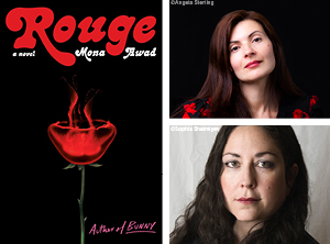 Rouge: A Novel: Awad, Mona: 9781982169695: : Books